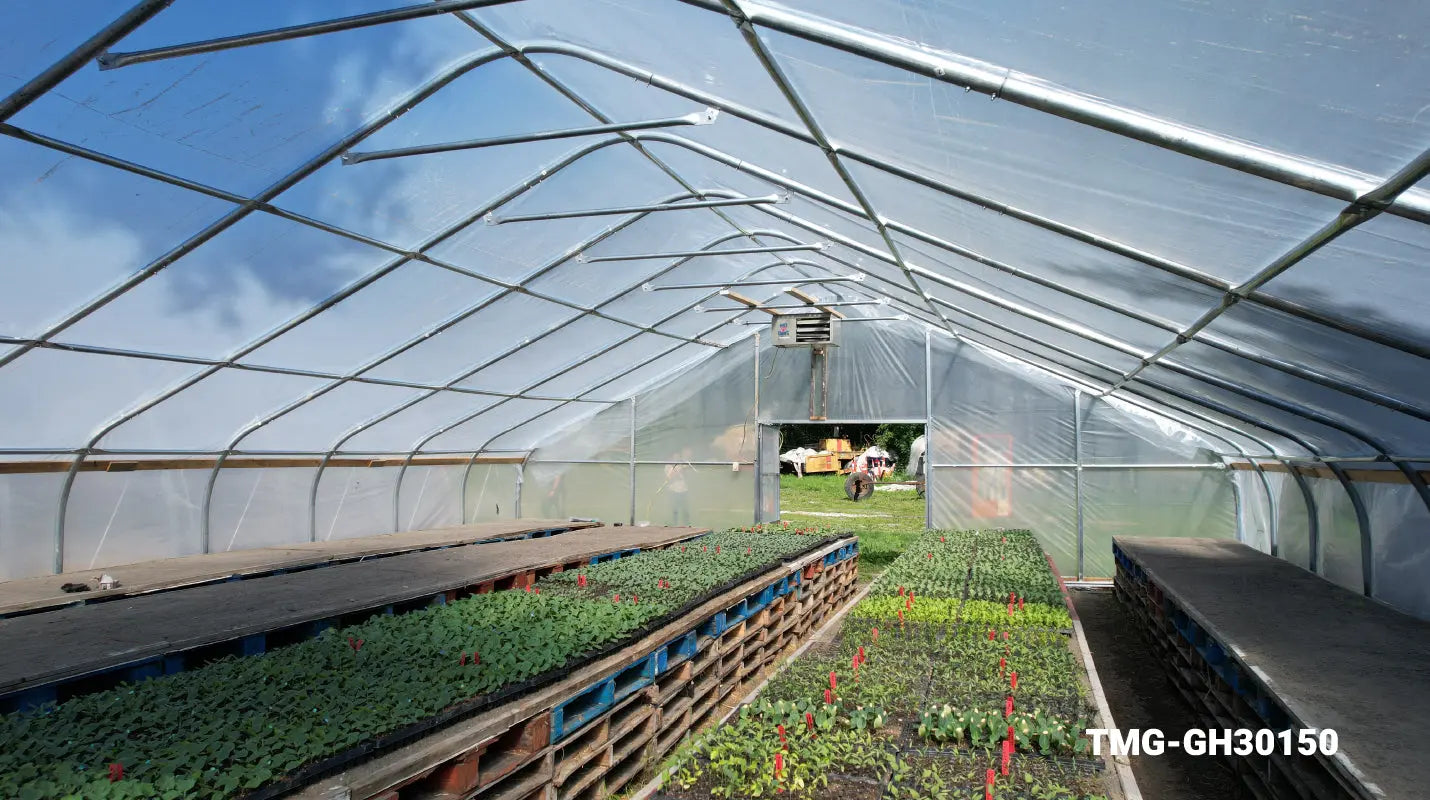 How Greenhouses Are Revolutionizing Gardening for the Modern Grower