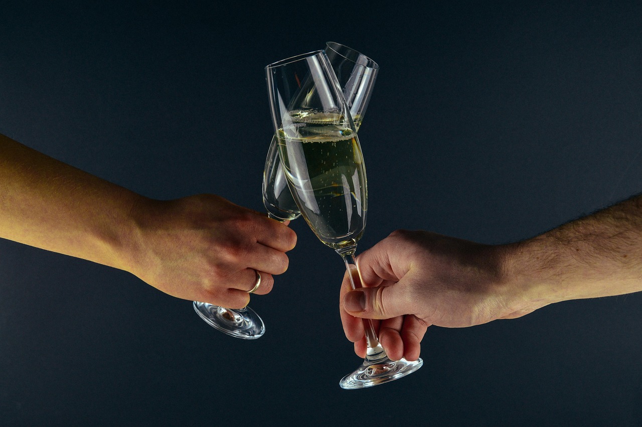 Champagne, party, new years eve — Invest in the Right Dog Gear - Try a No Pull Dog Harness