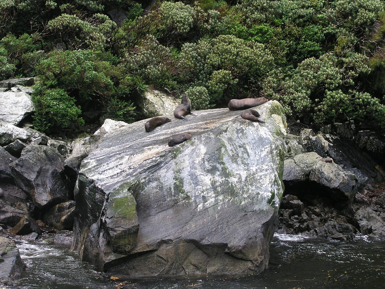 New zealand, new, zealand — Elements The Awakening: Make a Small Stake and Win Big