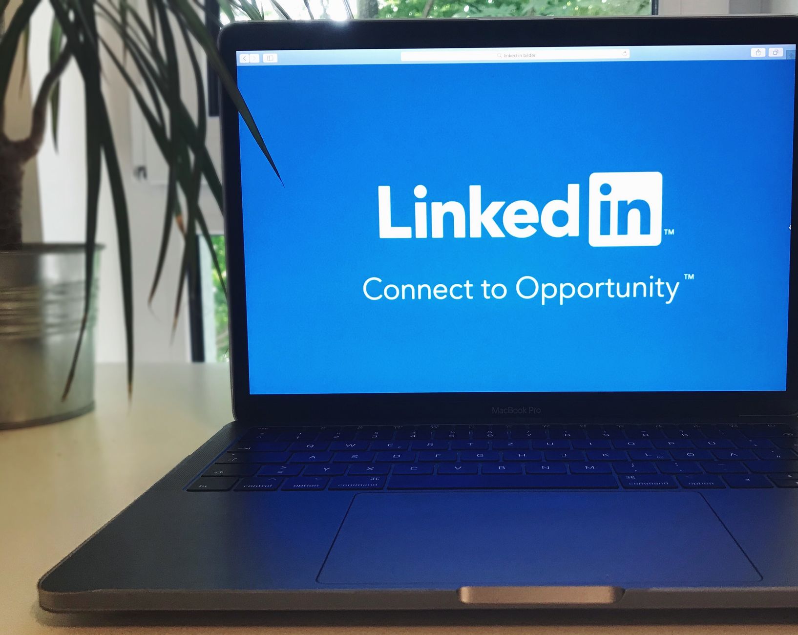 employment landscape