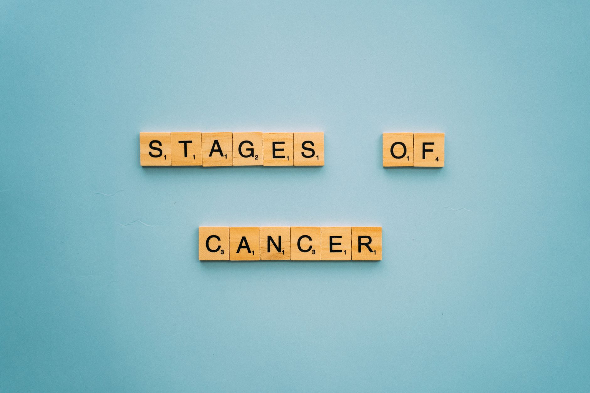 Champions Oncology earnings