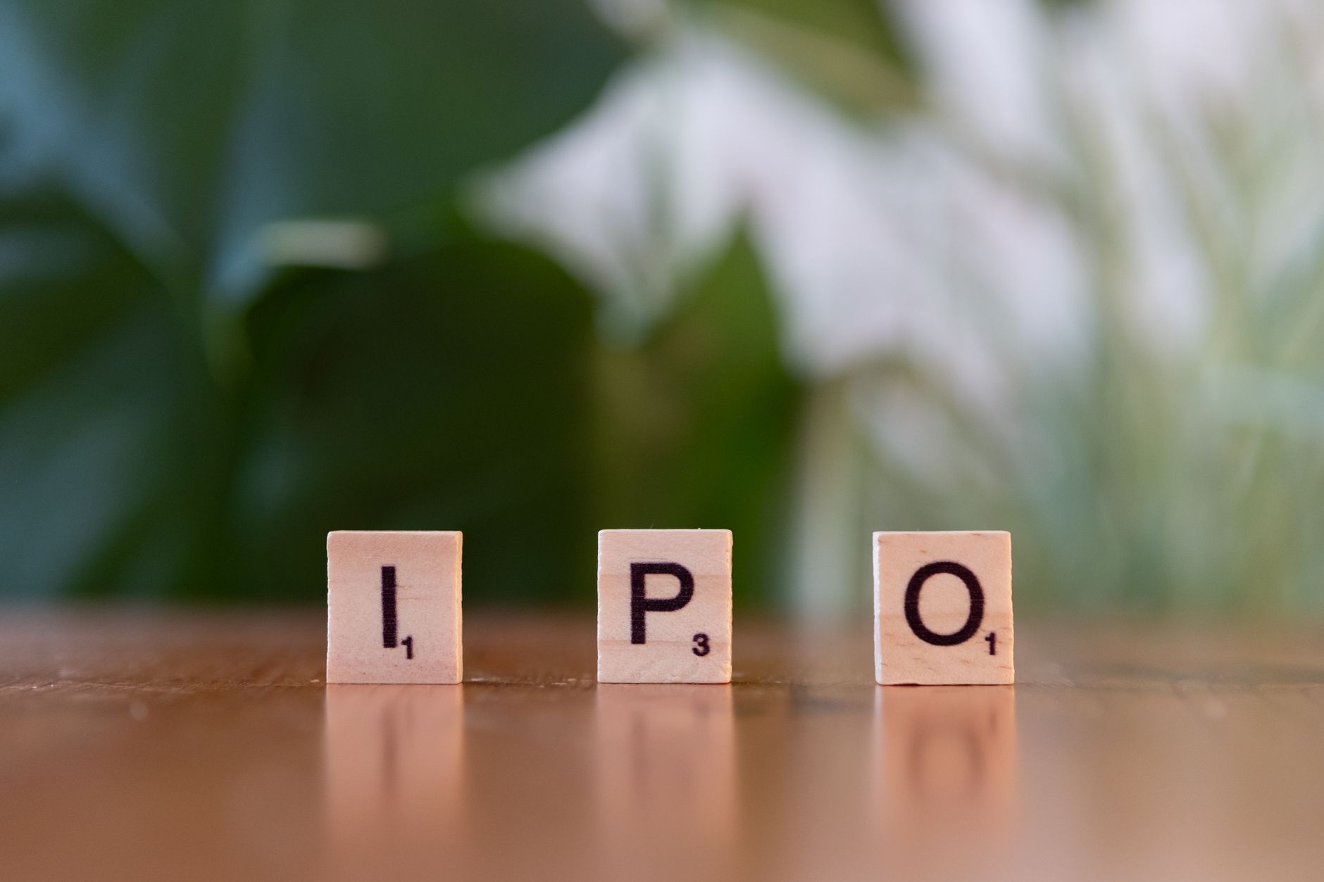 NSE IPO profit