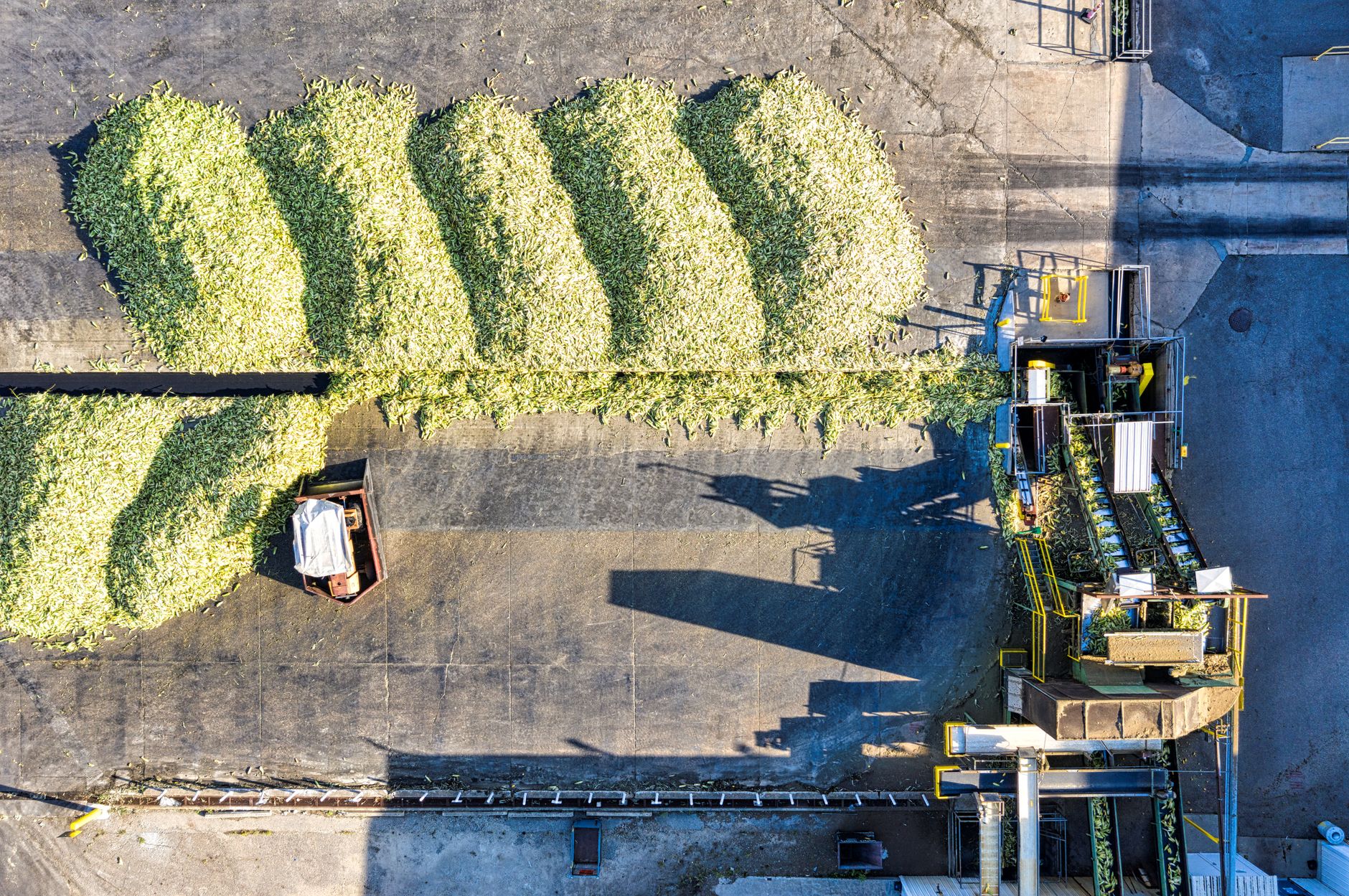 sugar diversion for ethanol